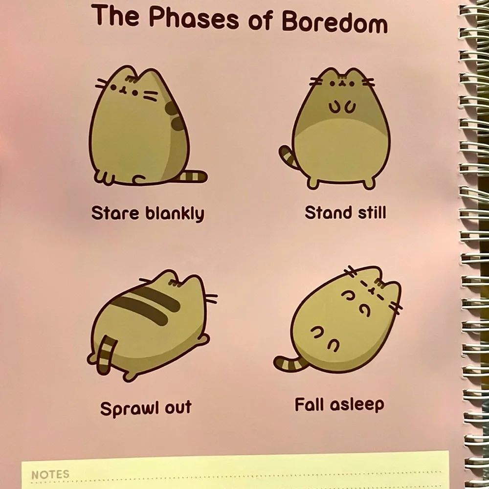 •Last One!• Pusheen 16 Month Weekly 2025 Planner With Stickers